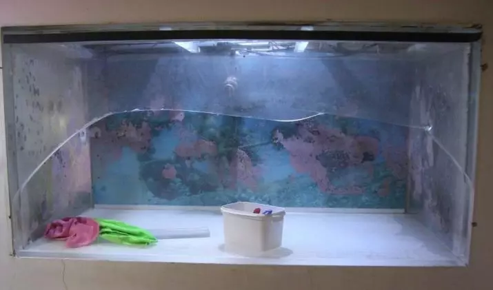 Praskl jsem akvárium (18 fotek): Jak ho lepit s vlastními rukama, kdyby praskl na šev? Jak udělat brýle doma? 11423_15