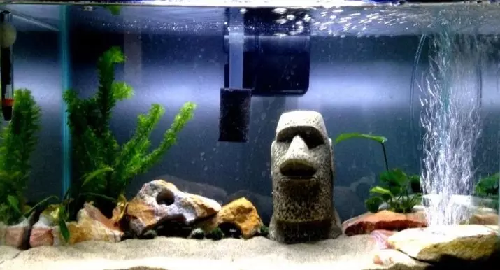 Aeração da água no aquário (34 fotos): O que é isso? Quantas vezes incluem o suprimento de oxigênio para peixes? Quantos ar devem funcionar? Comprimidos de oxigênio e outras maneiras 11430_10