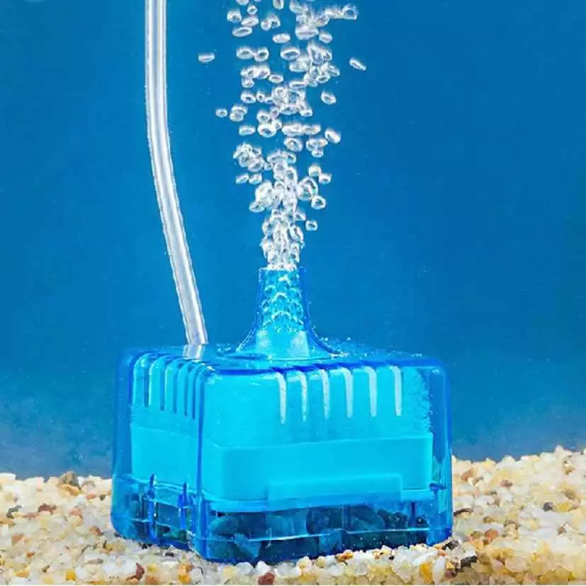 Aeração da água no aquário (34 fotos): O que é isso? Quantas vezes incluem o suprimento de oxigênio para peixes? Quantos ar devem funcionar? Comprimidos de oxigênio e outras maneiras 11430_18