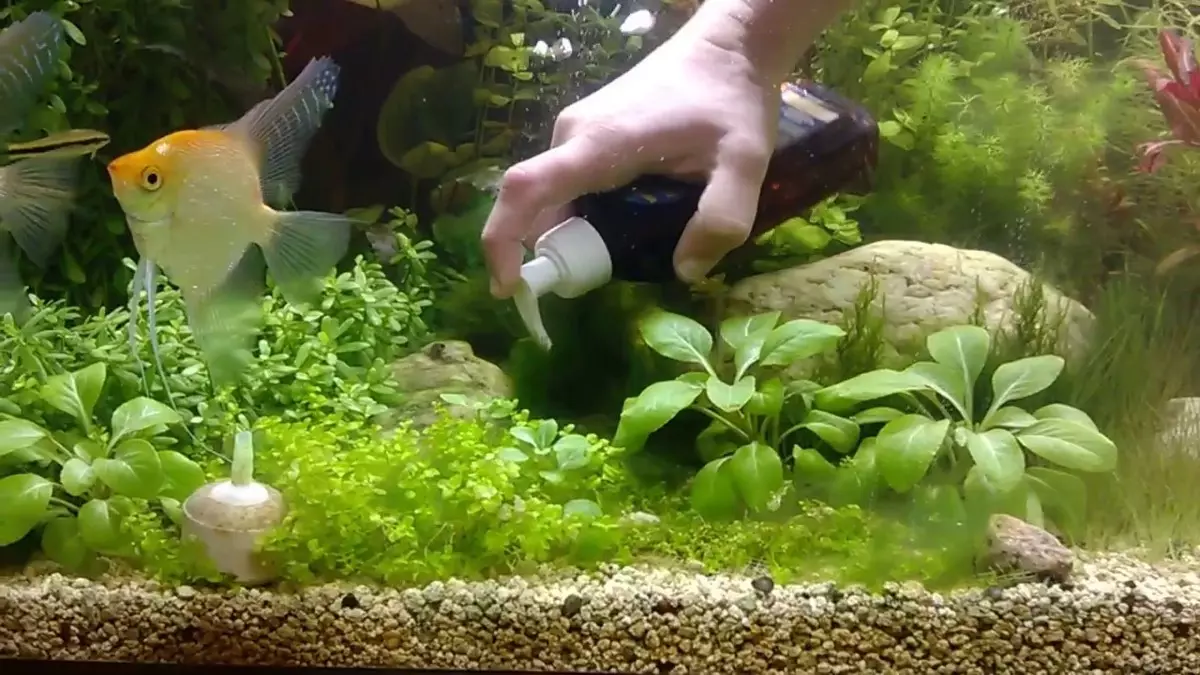 Aeração da água no aquário (34 fotos): O que é isso? Quantas vezes incluem o suprimento de oxigênio para peixes? Quantos ar devem funcionar? Comprimidos de oxigênio e outras maneiras 11430_22
