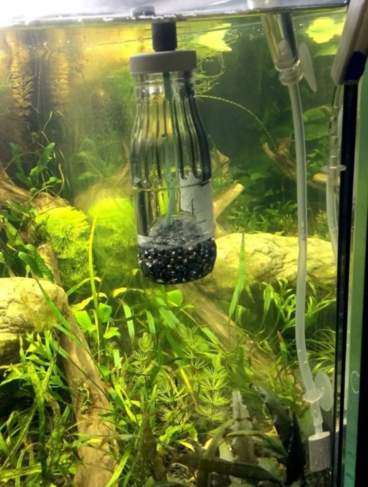Aeração da água no aquário (34 fotos): O que é isso? Quantas vezes incluem o suprimento de oxigênio para peixes? Quantos ar devem funcionar? Comprimidos de oxigênio e outras maneiras 11430_26