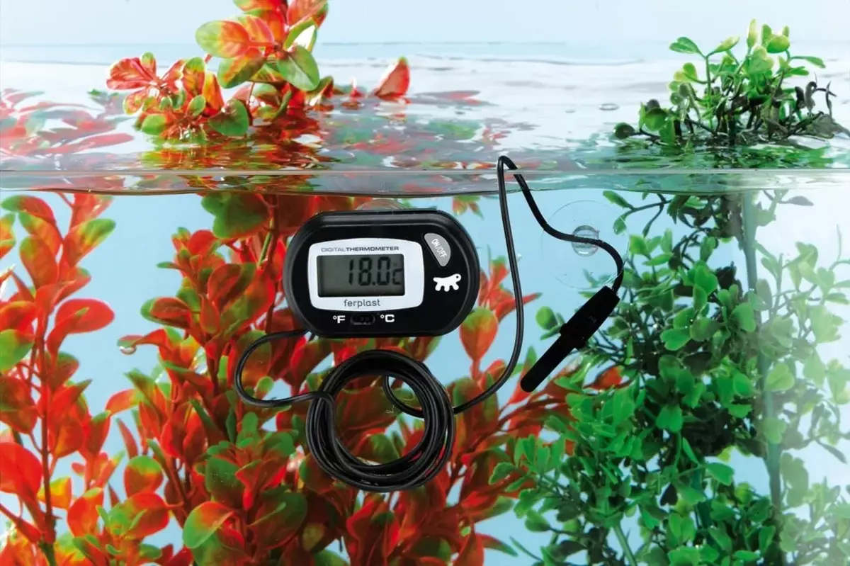 Aeração da água no aquário (34 fotos): O que é isso? Quantas vezes incluem o suprimento de oxigênio para peixes? Quantos ar devem funcionar? Comprimidos de oxigênio e outras maneiras 11430_30