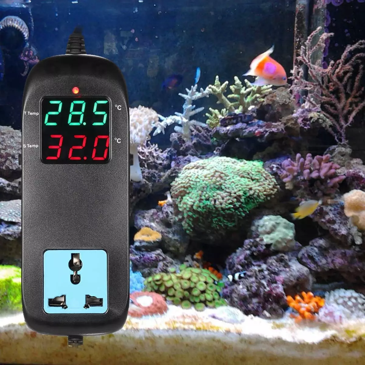 Aeração da água no aquário (34 fotos): O que é isso? Quantas vezes incluem o suprimento de oxigênio para peixes? Quantos ar devem funcionar? Comprimidos de oxigênio e outras maneiras 11430_31