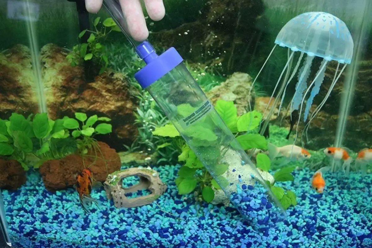 Aeração da água no aquário (34 fotos): O que é isso? Quantas vezes incluem o suprimento de oxigênio para peixes? Quantos ar devem funcionar? Comprimidos de oxigênio e outras maneiras 11430_33