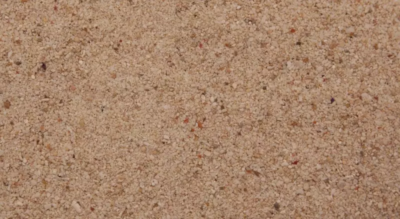 Пісок для акваріуму (16 фото): плюси і мінуси крупного річкового, кольорового і інших пісків. Як промити його своїми руками? 11434_9