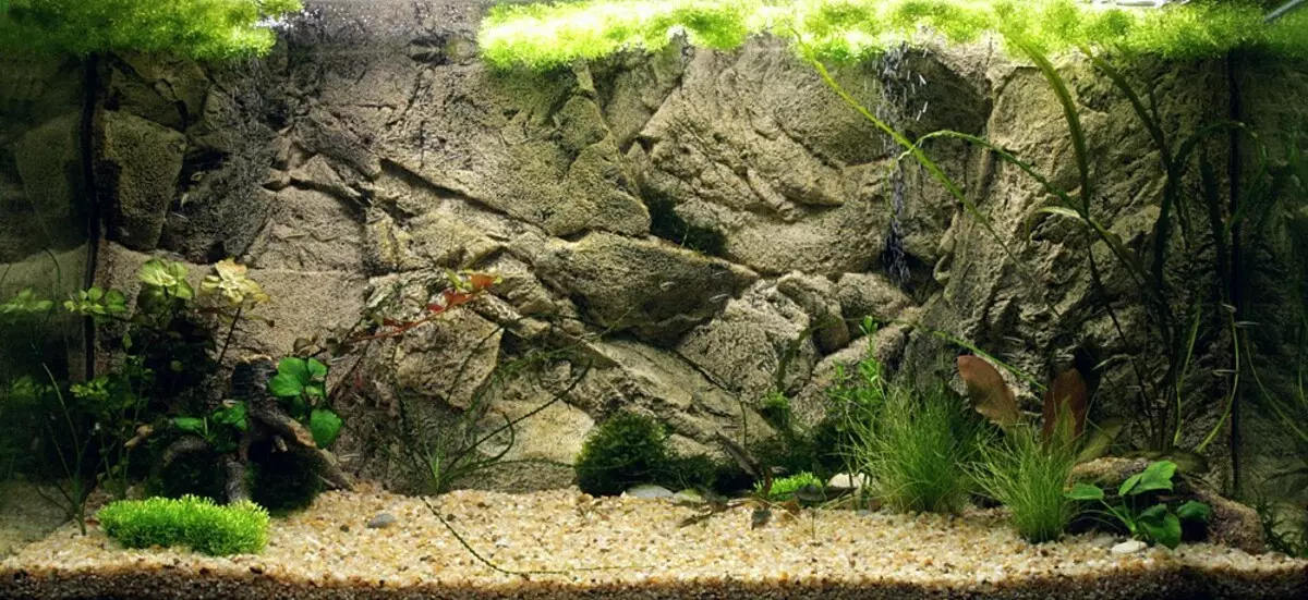 Background for aquarium with your own hands (20 photos): Making a volumetric rear background of foam, black 3D background with drawings from mounting foam. What else can background be made? 11439_10