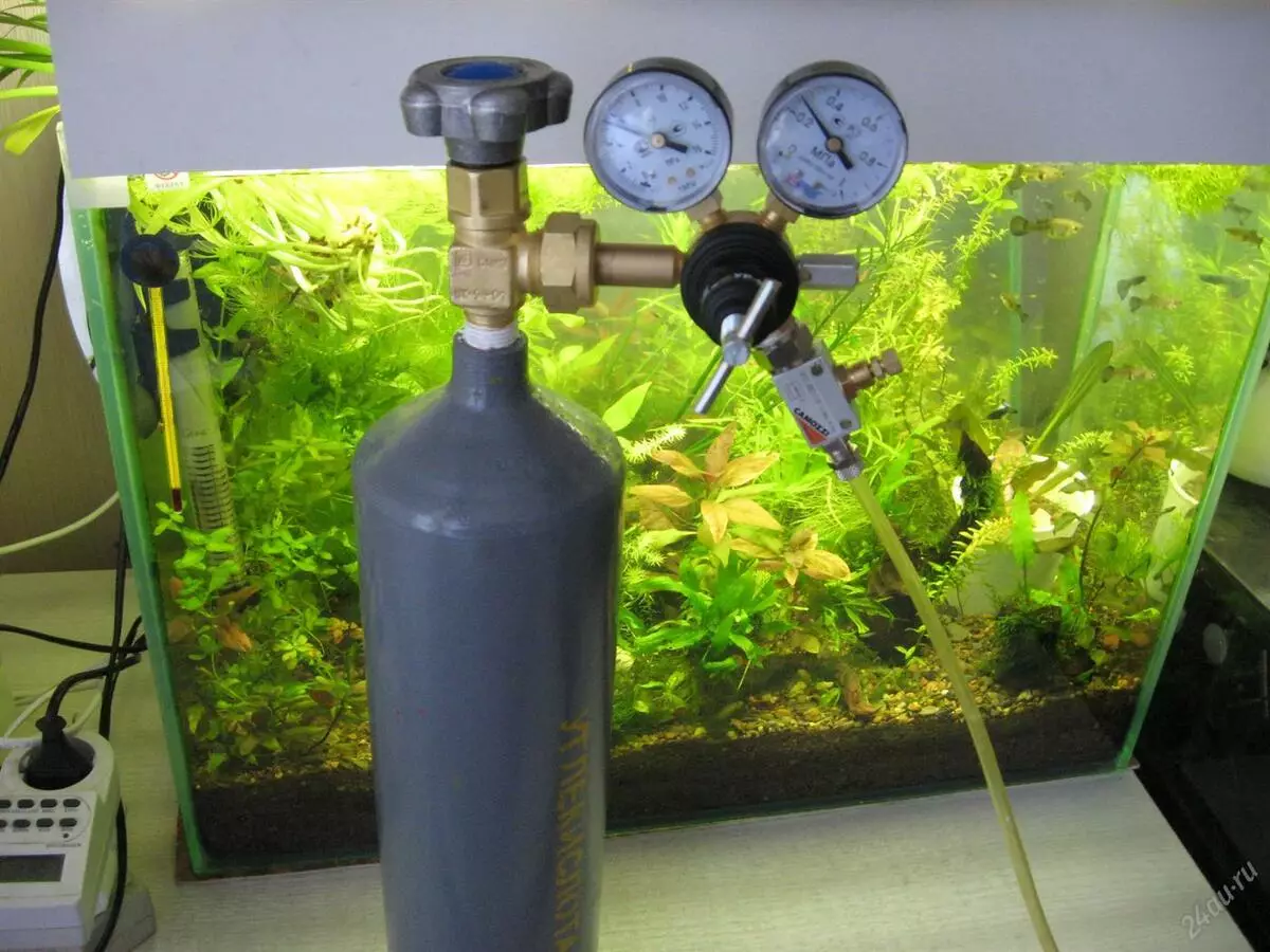 Абсталяванне для акварыума (35 фота): агляд флейты і іншага акварыўмных абсталявання для развядзення рыбы ў хатніх умовах 11440_27
