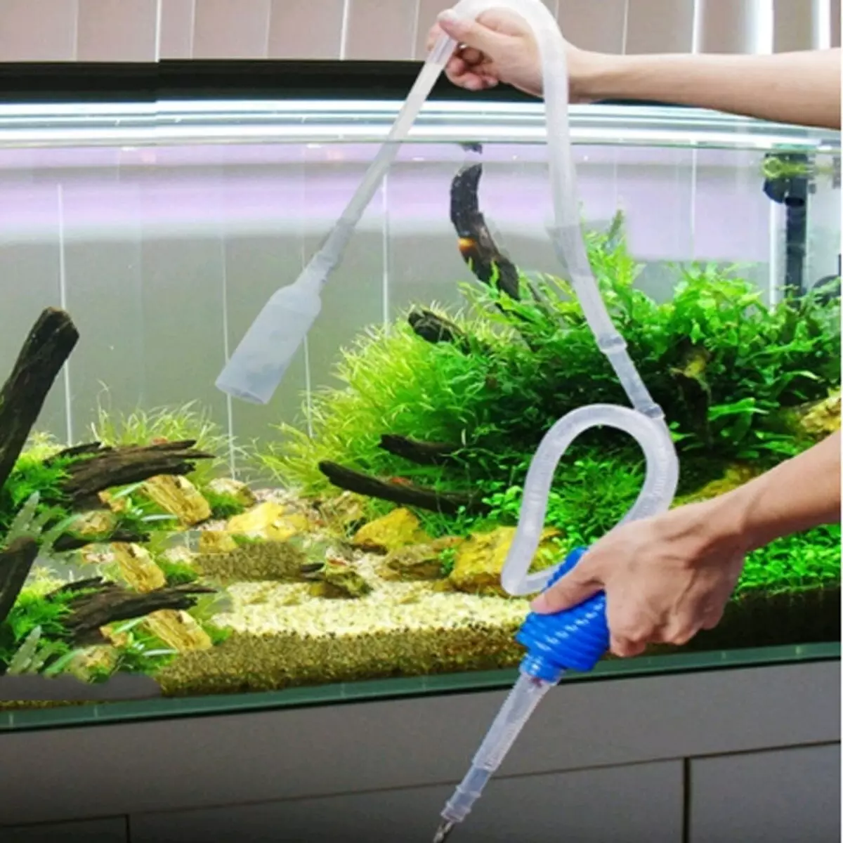 Сифон за аквариум (27 снимки): разновидности на електрически прахосмукачки за почистване на аквариум почва. Какъв грунд е по-добре да изберете? 11441_25