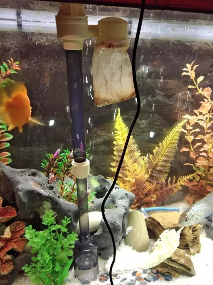 Сифон за аквариум (27 снимки): разновидности на електрически прахосмукачки за почистване на аквариум почва. Какъв грунд е по-добре да изберете? 11441_6