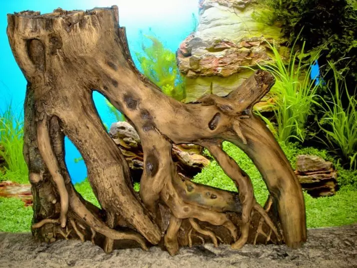 Grot vir Aquarium (26 foto's): Wat is? Hoe om akwarium grot te maak van klippe en klapper, klei en skuim met hul eie hande? 11442_14