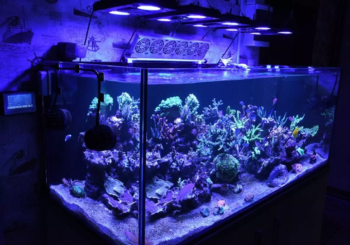 Aquarium-ийн бүртгэл (81 фото зураг): Өөрийн гараараа үзэсгэлэнтэй аквариум зохиом. Юу чимэглэж болох вэ? AquadizayA бяцхан аквариумуудын жишээ 11443_24