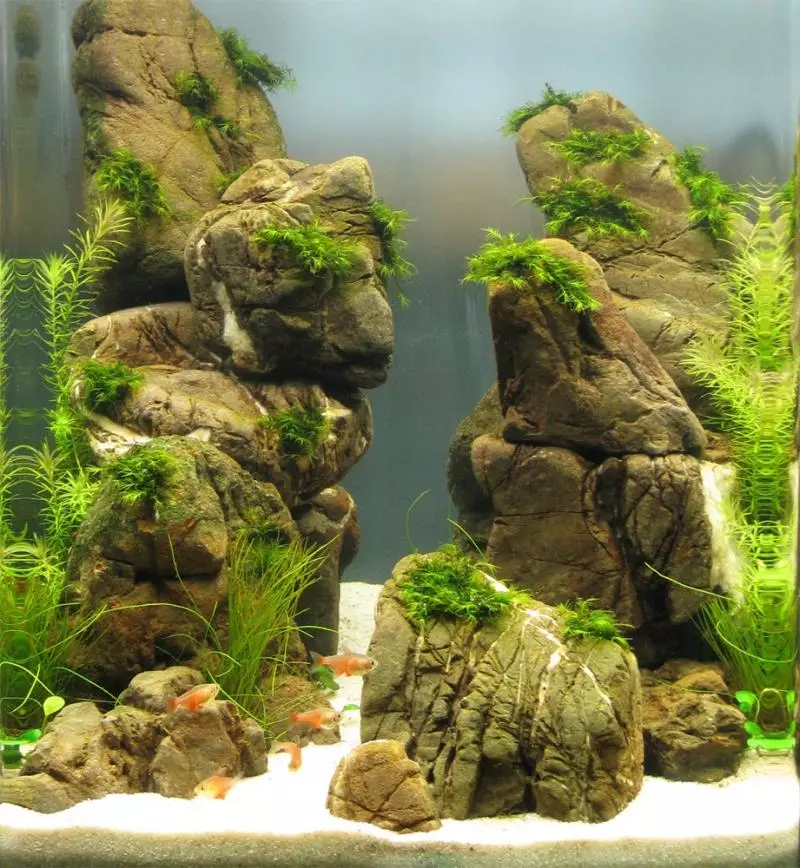 Registration of aquarium (81 photos): Create a beautiful aquarium design with your own hands. What can be decorated? Examples of Aquadizayna Little Aquariums with Stones 11443_28