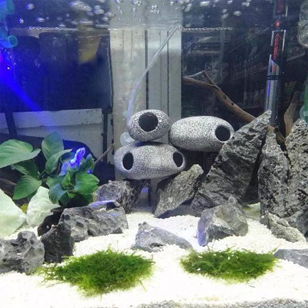 Iforukọsilẹ ti aquarium (awọn fọto 81): Ṣẹda apẹrẹ ti aquarium kan pẹlu awọn ọwọ tirẹ. Kini o le ṣe ọṣọ? Awọn apẹẹrẹ ti Aquadizyna Kekere pẹlu awọn okuta 11443_31