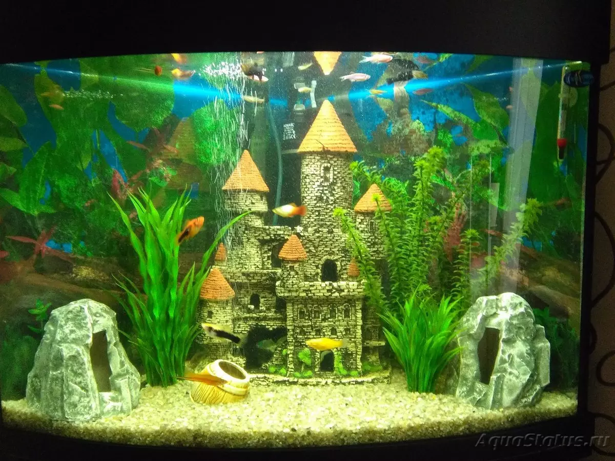 Registration of aquarium (81 photos): Create a beautiful aquarium design with your own hands. What can be decorated? Examples of Aquadizayna Little Aquariums with Stones 11443_33