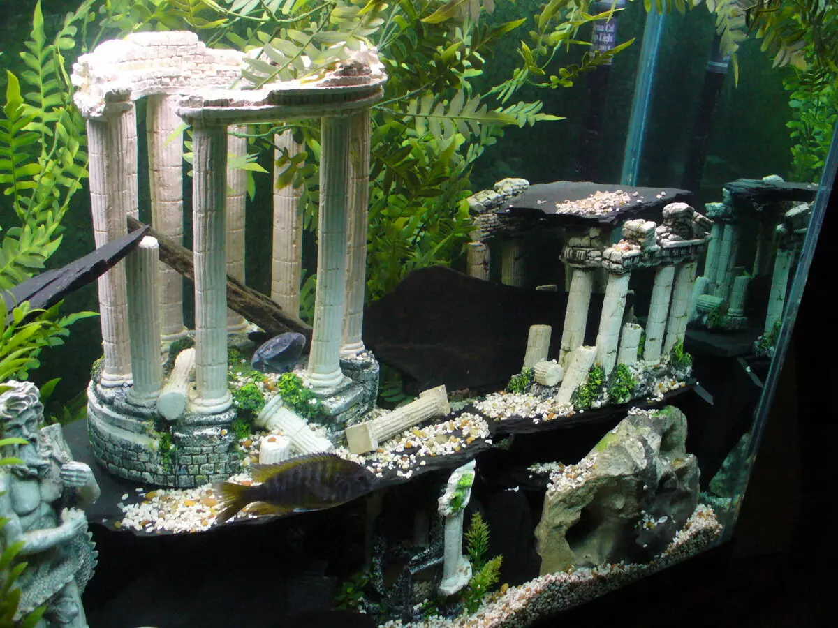 Iforukọsilẹ ti aquarium (awọn fọto 81): Ṣẹda apẹrẹ ti aquarium kan pẹlu awọn ọwọ tirẹ. Kini o le ṣe ọṣọ? Awọn apẹẹrẹ ti Aquadizyna Kekere pẹlu awọn okuta 11443_34