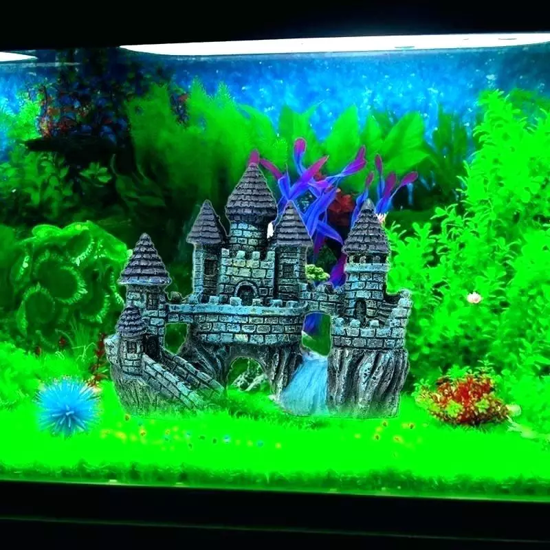 Registration of aquarium (81 photos): Create a beautiful aquarium design with your own hands. What can be decorated? Examples of Aquadizayna Little Aquariums with Stones 11443_37