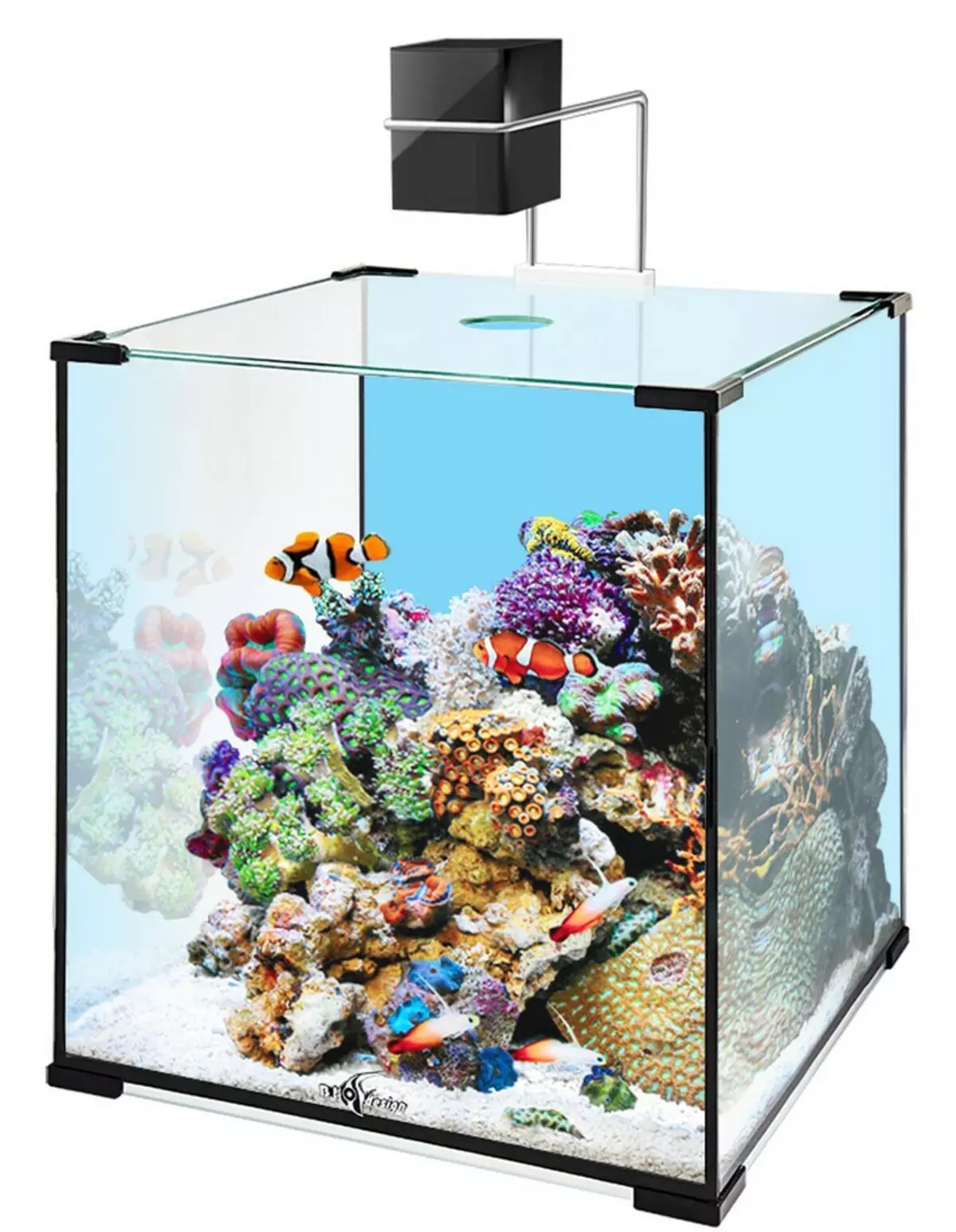 Registration of aquarium (81 photos): Create a beautiful aquarium design with your own hands. What can be decorated? Examples of Aquadizayna Little Aquariums with Stones 11443_4