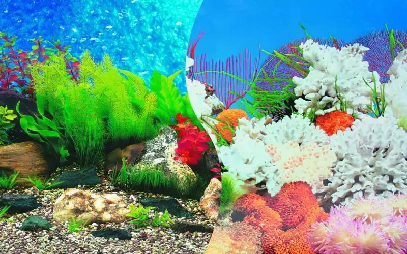 Aquarium-ийн бүртгэл (81 фото зураг): Өөрийн гараараа үзэсгэлэнтэй аквариум зохиом. Юу чимэглэж болох вэ? AquadizayA бяцхан аквариумуудын жишээ 11443_42