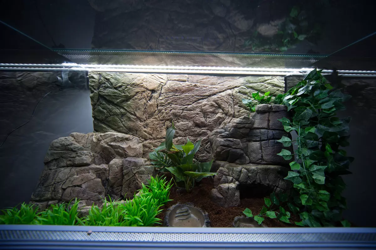 Registration of aquarium (81 photos): Create a beautiful aquarium design with your own hands. What can be decorated? Examples of Aquadizayna Little Aquariums with Stones 11443_47