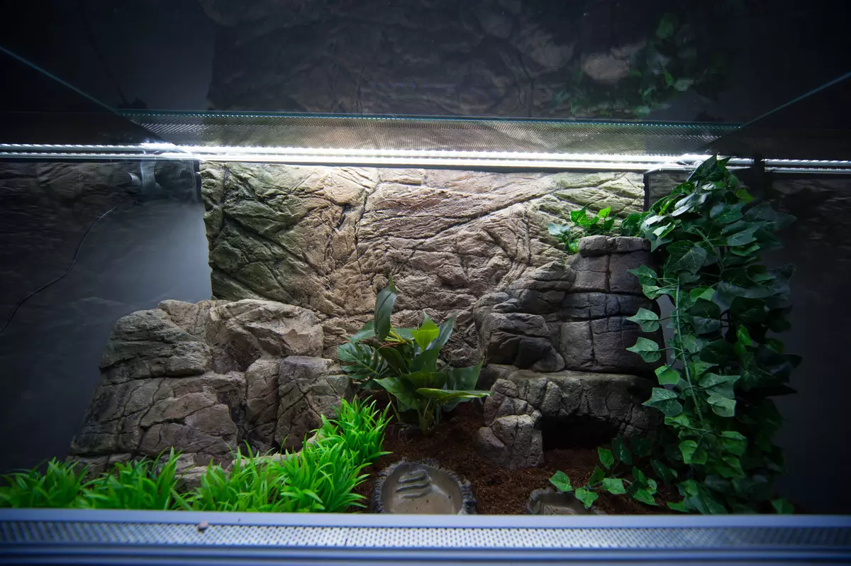 Iforukọsilẹ ti aquarium (awọn fọto 81): Ṣẹda apẹrẹ ti aquarium kan pẹlu awọn ọwọ tirẹ. Kini o le ṣe ọṣọ? Awọn apẹẹrẹ ti Aquadizyna Kekere pẹlu awọn okuta 11443_47