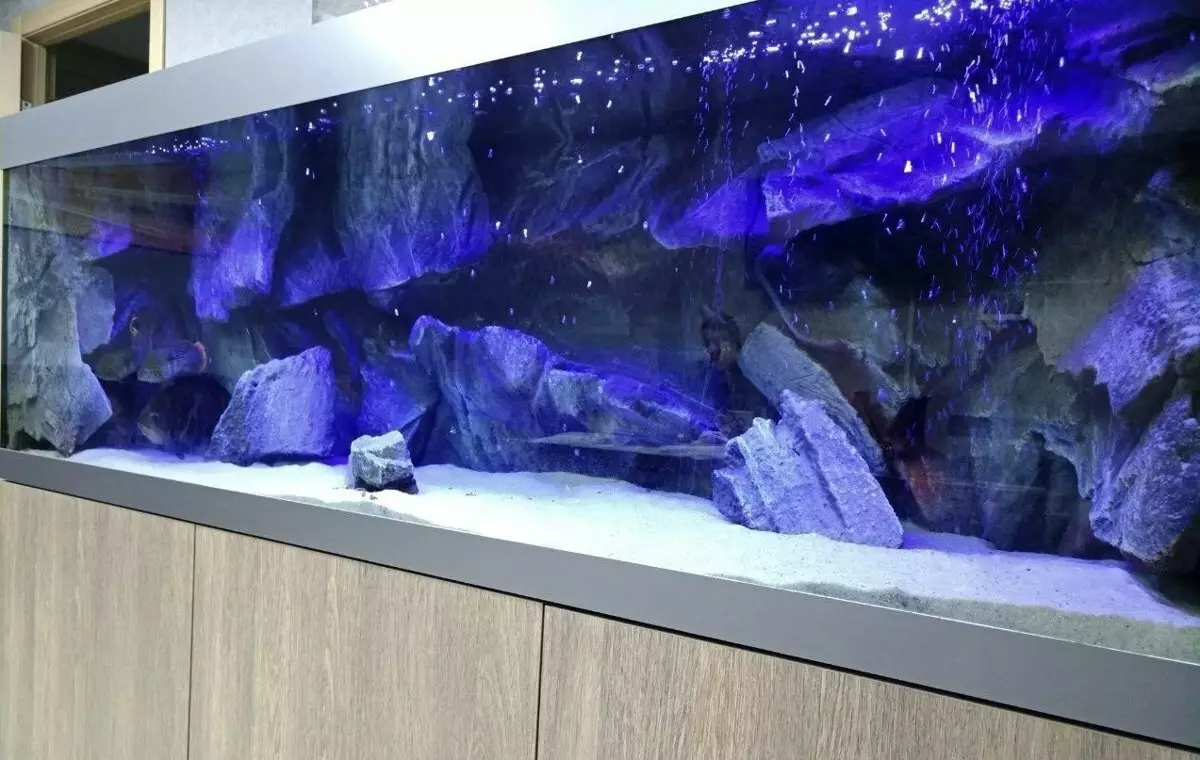 Aquarium-ийн бүртгэл (81 фото зураг): Өөрийн гараараа үзэсгэлэнтэй аквариум зохиом. Юу чимэглэж болох вэ? AquadizayA бяцхан аквариумуудын жишээ 11443_48