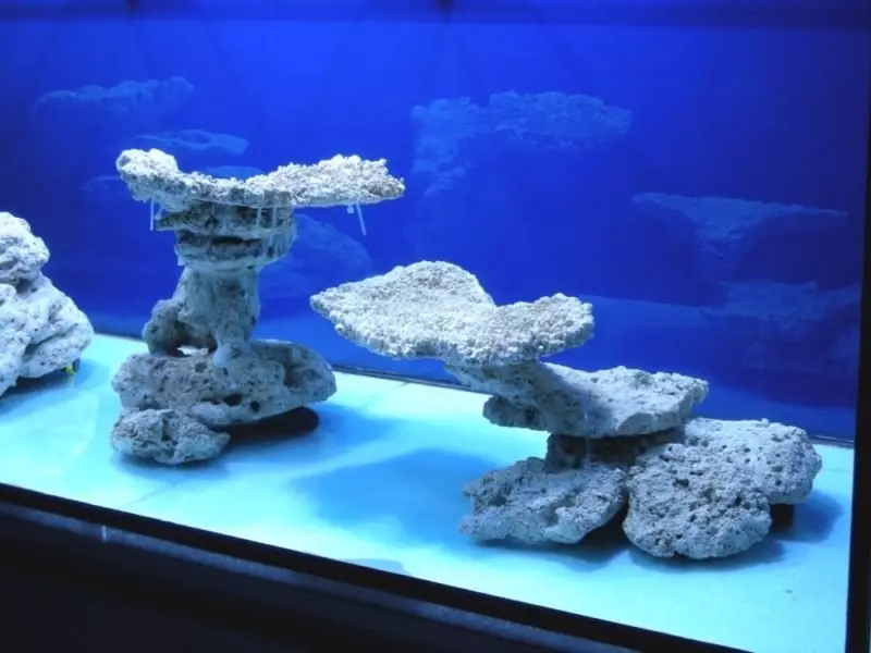 Iforukọsilẹ ti aquarium (awọn fọto 81): Ṣẹda apẹrẹ ti aquarium kan pẹlu awọn ọwọ tirẹ. Kini o le ṣe ọṣọ? Awọn apẹẹrẹ ti Aquadizyna Kekere pẹlu awọn okuta 11443_56