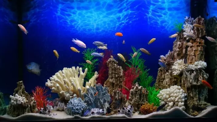 Aquarium-ийн бүртгэл (81 фото зураг): Өөрийн гараараа үзэсгэлэнтэй аквариум зохиом. Юу чимэглэж болох вэ? AquadizayA бяцхан аквариумуудын жишээ 11443_78