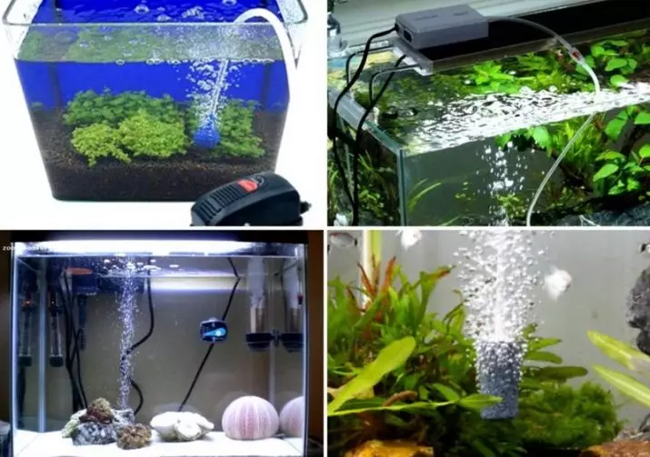 Aquarium (30 ፎቶዎች) ማዋሃዶች: - የውሃ ማቆሚያዎች ለምን ይፈልጋሉ? በባለተርስ እና በአየር አቅርቦት ማስተካከያ ላይ አመንዝሮች. እንዴት መጫን? 11445_24