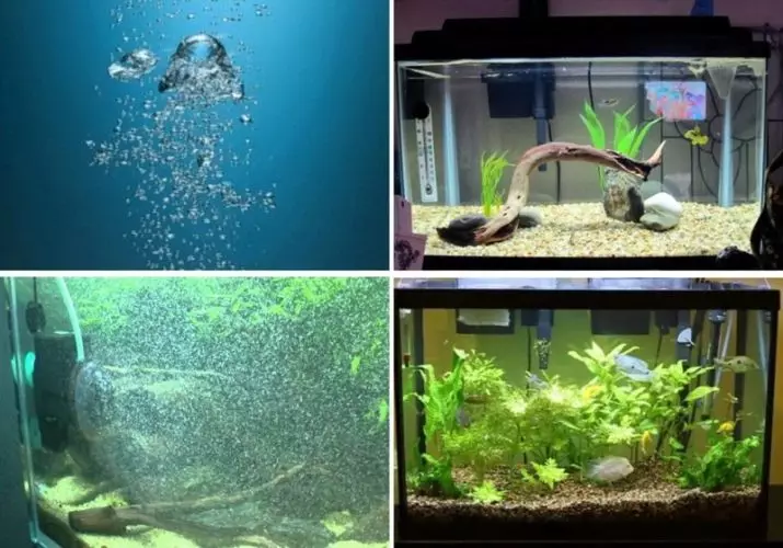 Aquararum (30 تصويرون): Aquarium ڪمپريشن ڇو گهرجن؟ بيٽرين تي بيٽري ۽ هوائي سپلائي جي ترتيب سان. ڪيئن انسٽال ڪجي؟ 11445_30