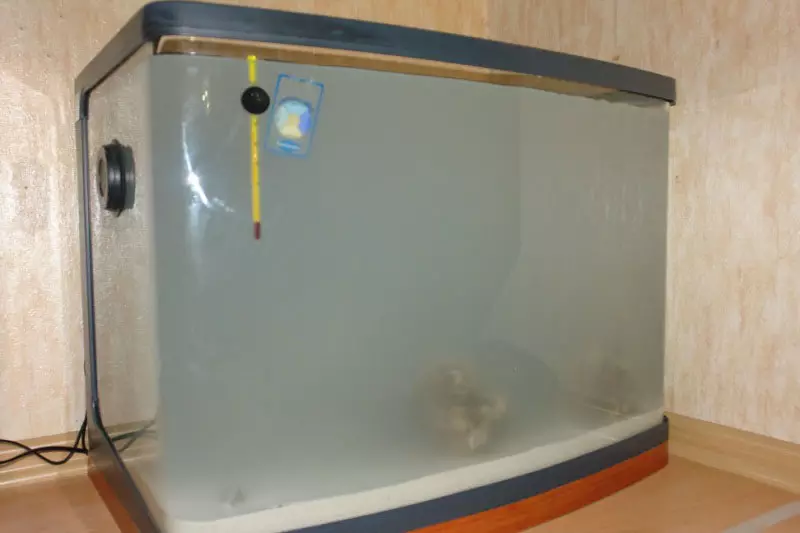 Kompresory pro akvárium (30 fotografií): Proč potřebují akvárium kompresory? Aerátory na bateriích as úpravou vzduchu. Jak nainstalovat? 11445_6