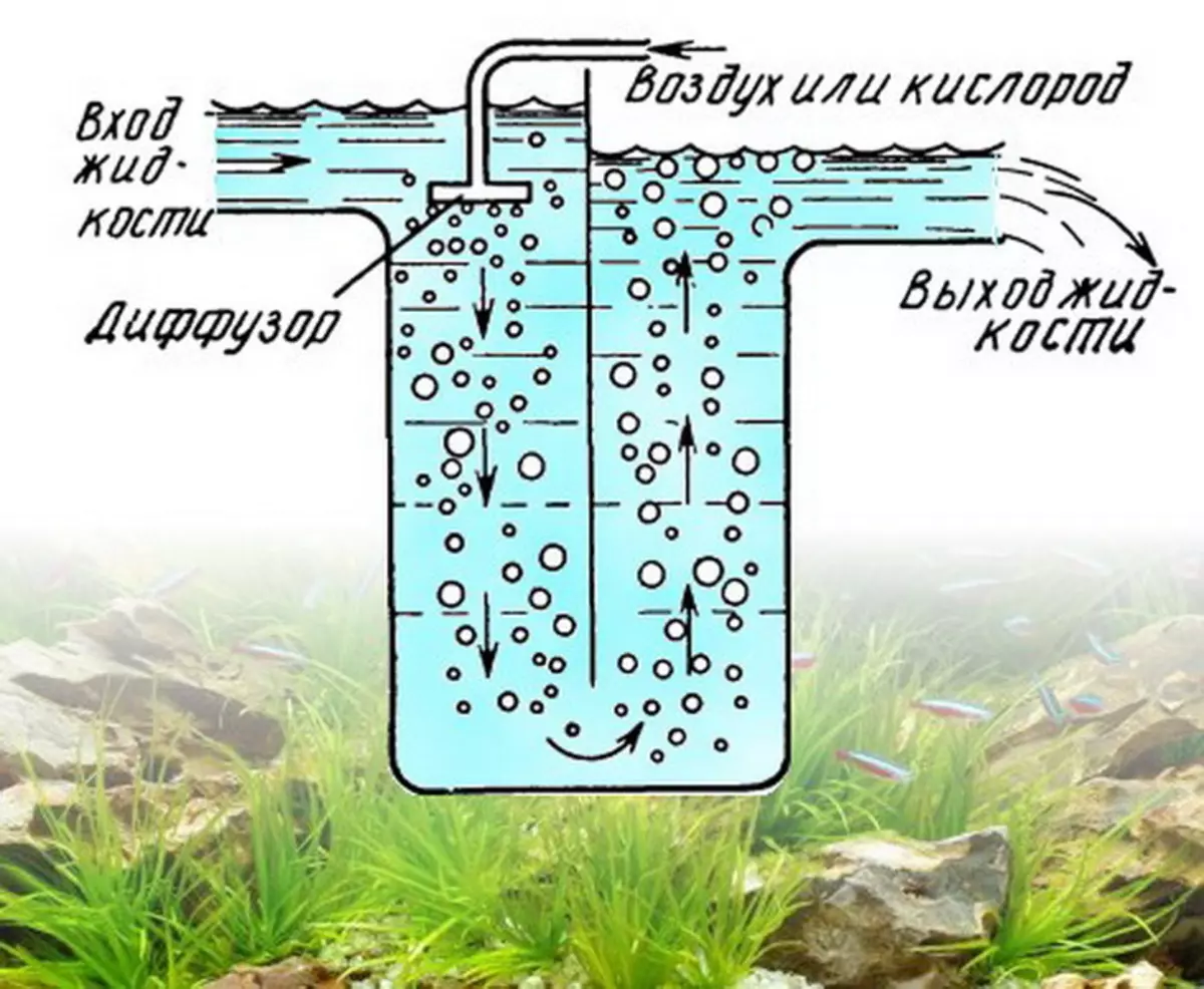 Akvaarion kompressorit (30 valokuvaa): Miksi akvaariokompressorit tarvitsevat? Akut ja ilman syötön säätö. Miten asentaa? 11445_8