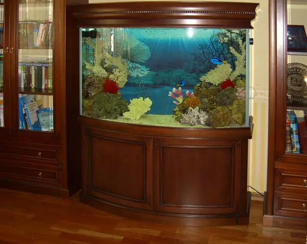 Tiwbiau o dan Aquarium (50 Lluniau): Sut i wneud bwrdd wrth ochr y gwely? Darluniau gyda dimensiynau. Detholiad o dablau ar gyfer Aquariums Panoramig 60, 100, 200 a 300 litr 11456_27