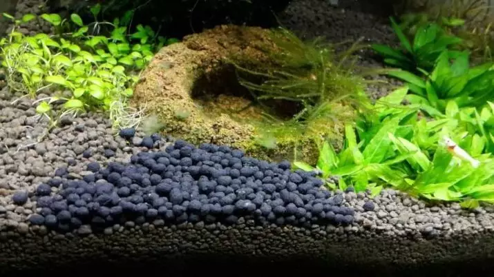 Sol nutritif pour Aquarium (23 photos): Qu'est-ce qui fait un substrat pour les plantes d'aquarium avec vos propres mains? Comment le mettre? 11463_2