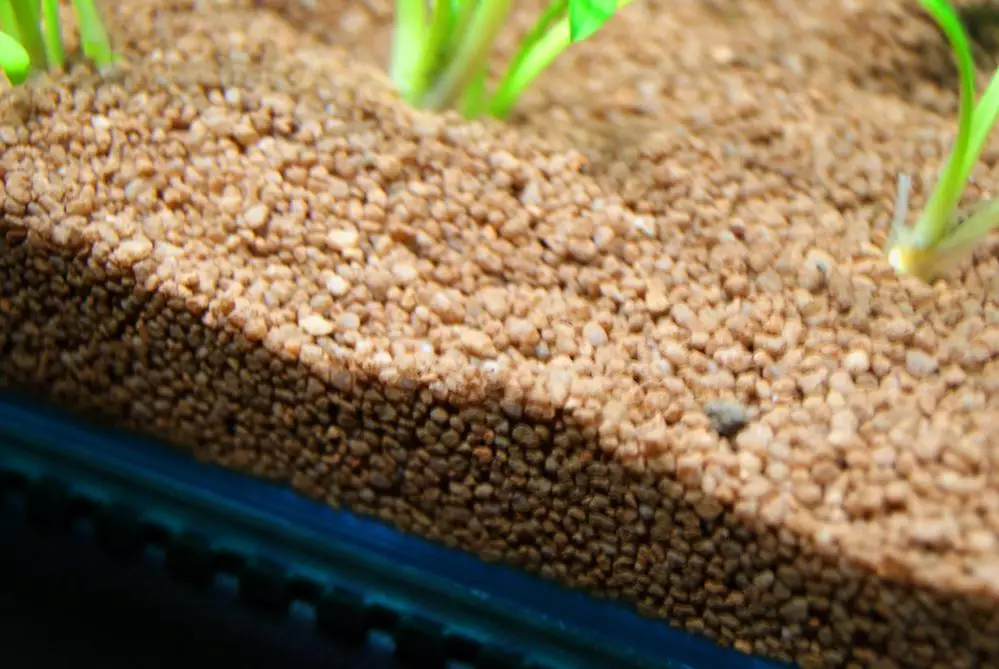 Tanah nutrien untuk akuarium (23 foto): Apa yang membuat substrat untuk tumbuhan akuarium dengan tangan anda sendiri? Bagaimana untuk meletakkannya? 11463_23