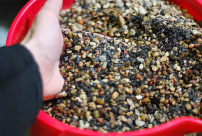 Tanah nutrien untuk akuarium (23 foto): Apa yang membuat substrat untuk tumbuhan akuarium dengan tangan anda sendiri? Bagaimana untuk meletakkannya? 11463_6