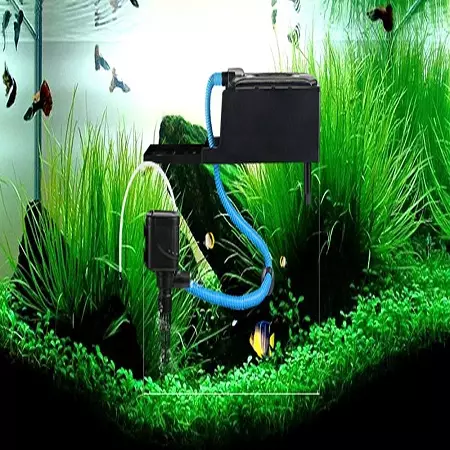 Пумпа за аквариум (30 фотографии): надворешни и подигање на аквариумски пумпи за вода, филтер за пумпа и пумпа за проток. За што се потребни? Како да инсталирам? 11473_12