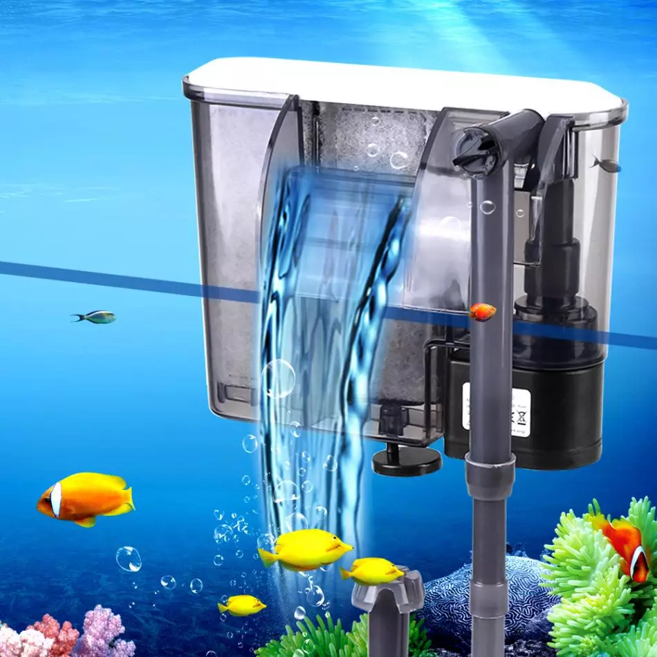 Pomp voor aquarium (30 foto's): externe en tillen Aquariumwaterpompen, pompfilter en flowpomp. Waar nodig ze nodig? Hoe installeren? 11473_13