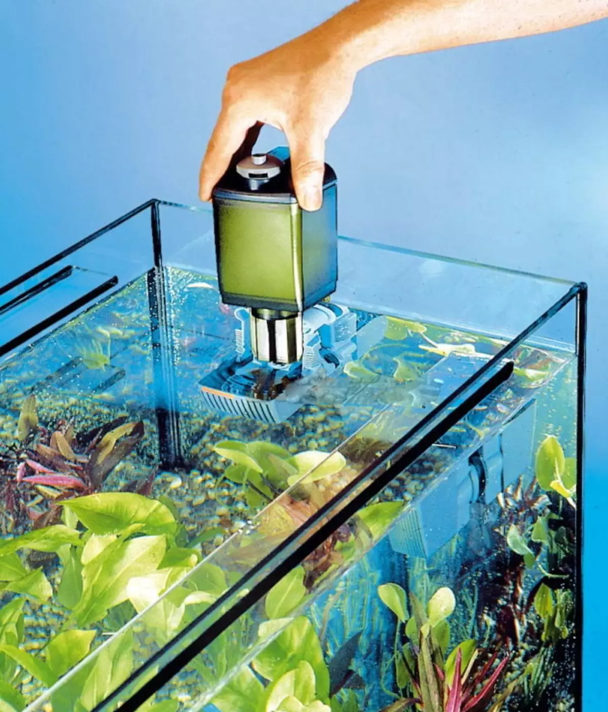 Črpalka za akvarij (30 fotografij): zunanje in dvižne akvarijske vodne črpalke, filter črpalke in pretočne črpalke. Za kaj so potrebni? Kako namestiti? 11473_2