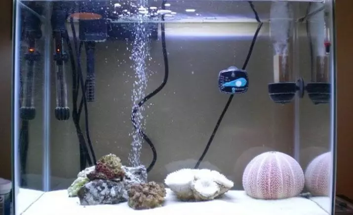 Пумпа за аквариум (30 фотографии): надворешни и подигање на аквариумски пумпи за вода, филтер за пумпа и пумпа за проток. За што се потребни? Како да инсталирам? 11473_24