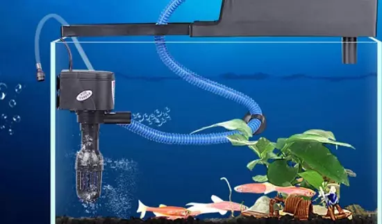 Pomp voor aquarium (30 foto's): externe en tillen Aquariumwaterpompen, pompfilter en flowpomp. Waar nodig ze nodig? Hoe installeren? 11473_7