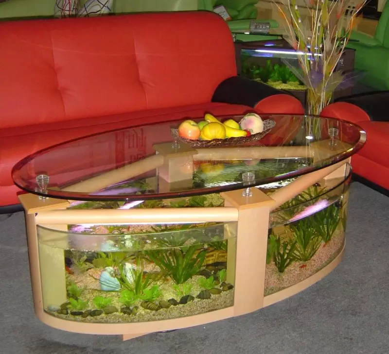 Taulukko-akvaario (24 kuvaa): Asetukset lasi-sohvapöydän valmistamiseksi, jossa on putkia. Akvaariotaulukoiden valinta sisätiloissa 11480_12