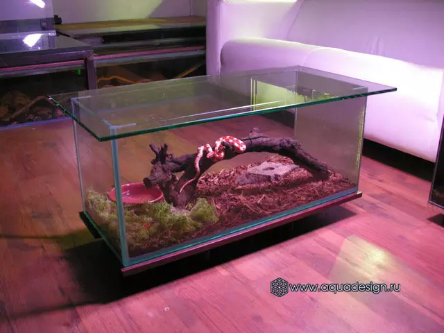 Table-Aquarium (24 zdjęcia): Opcje wykonania szklanego stolika do kawy z rybami z rur. Wybór stołów akwariowych we wnętrzu 11480_14