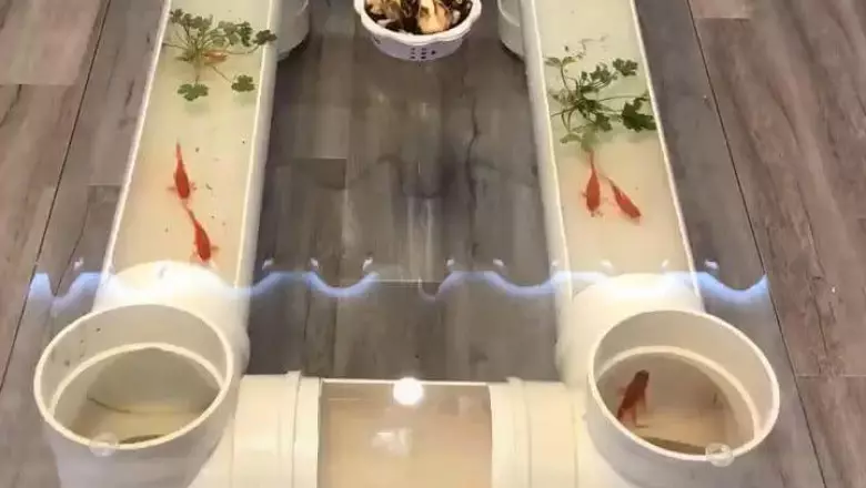 Tabell-akvarium (24 bilder): Alternativer for å lage et glass salongbord med fisk fra rør. Utvalg av akvarietabeller i interiøret 11480_2