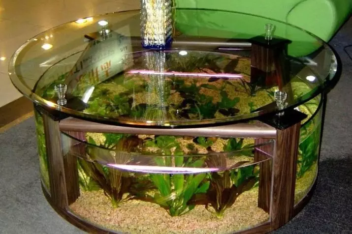 Meja-Aquarium (24 foto): Pilihan untuk membuat meja kopi kaca dengan ikan dari paip. Pemilihan meja akuarium di pedalaman 11480_4