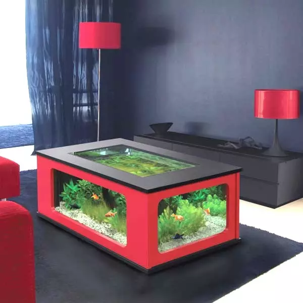 Tabel-akvarium (24 billeder): muligheder for at gøre et glas sofabord med fisk fra rørene. Udvælgelse af akvarium tabeller i det indre 11480_5