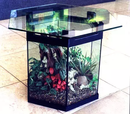 Taulukko-akvaario (24 kuvaa): Asetukset lasi-sohvapöydän valmistamiseksi, jossa on putkia. Akvaariotaulukoiden valinta sisätiloissa 11480_6