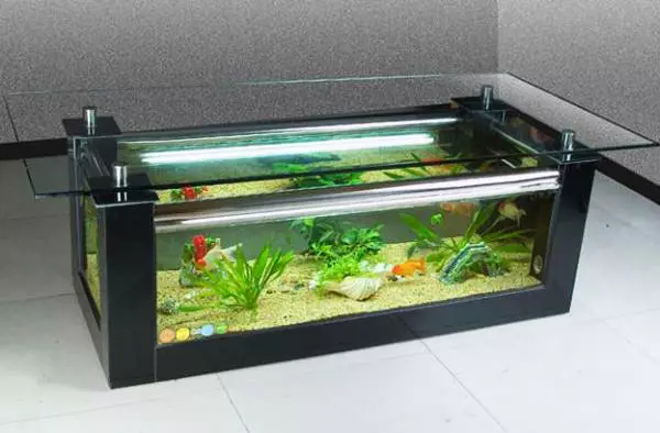 TABEL-AQUARIUM (24 foto's): opties voor het maken van een glazen salontafel met vissen uit pijpen. Selectie van aquariumtafels in het interieur 11480_7