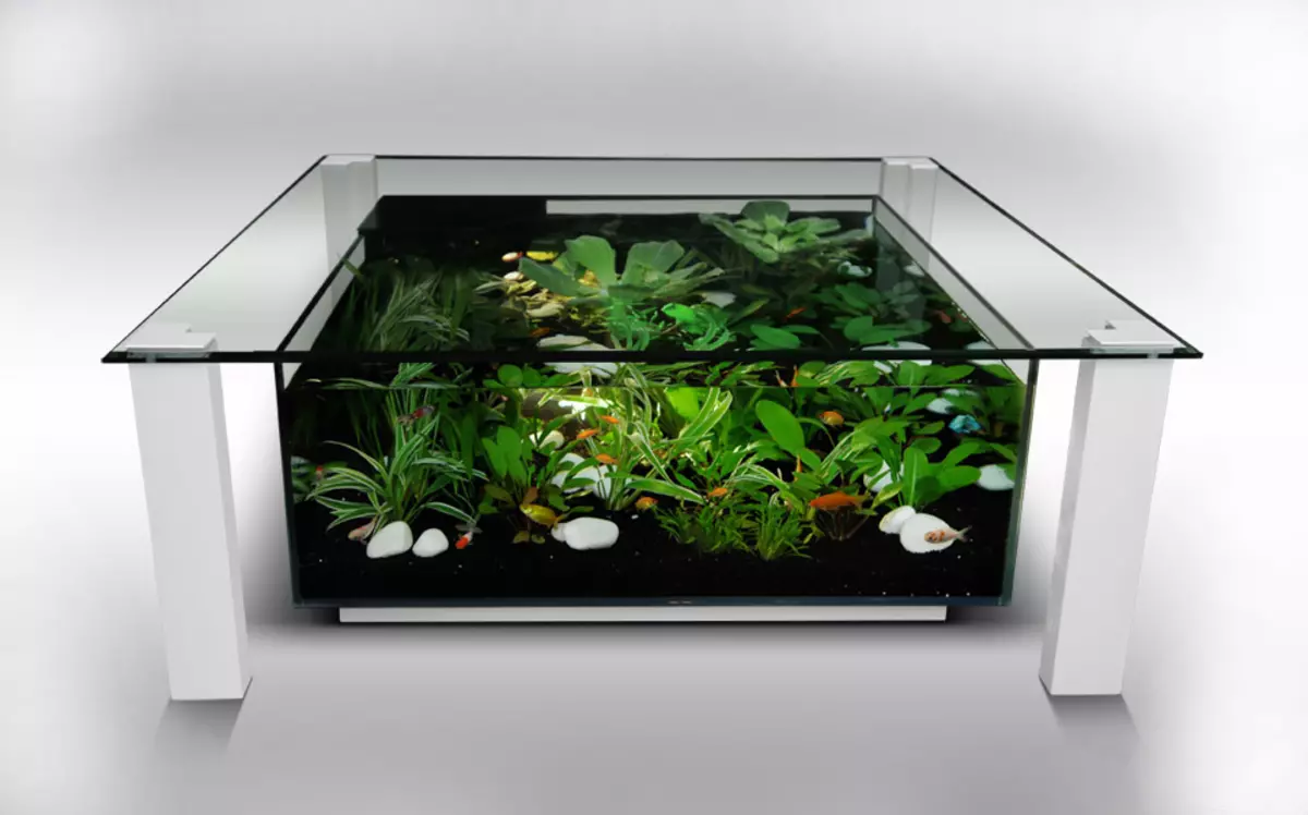 Table-Aquarium (24 zdjęcia): Opcje wykonania szklanego stolika do kawy z rybami z rur. Wybór stołów akwariowych we wnętrzu 11480_8