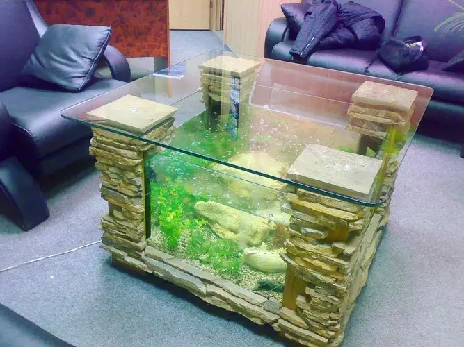 TABEL-AQUARIUM (24 foto's): opties voor het maken van een glazen salontafel met vissen uit pijpen. Selectie van aquariumtafels in het interieur 11480_9