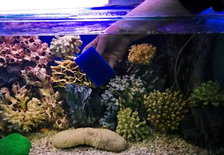 esterilitzadors UV per aquaris (16 fotos): Per què necessito llum ultraviolada aquari? Els beneficis i danys de les làmpades per a la desinfecció d'aigua 11481_14